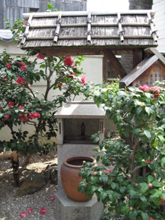 e0138350_2115228.jpg