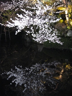 e0138350_22101121.jpg