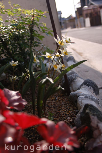 e0119151_18572714.jpg