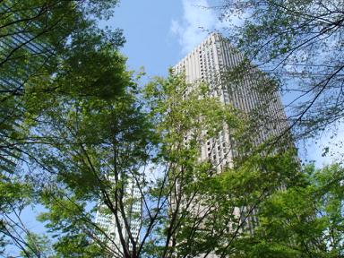 f0046854_21855.jpg