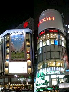 e0045856_334751.jpg