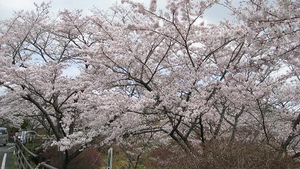 e0120156_185416.jpg