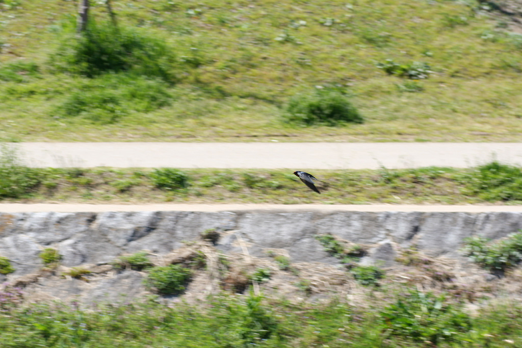 d0148060_17484859.jpg