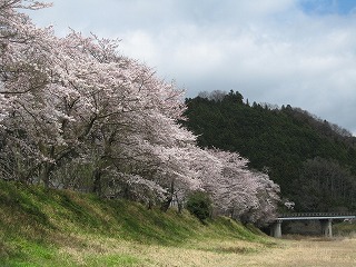 e0041168_112859.jpg