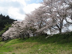 e0041168_1145583.jpg