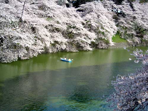e0097770_2138175.jpg