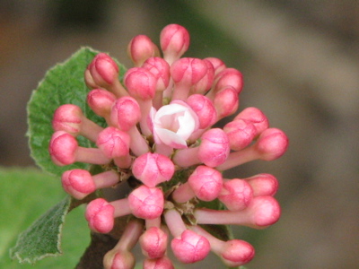 d0050472_15543954.jpg