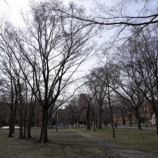 e0100772_21551328.jpg