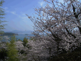 c0149475_12353948.gif