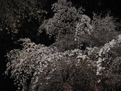 d0053578_0195349.jpg