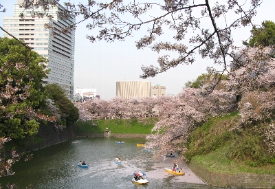 d0053578_03532100.jpg