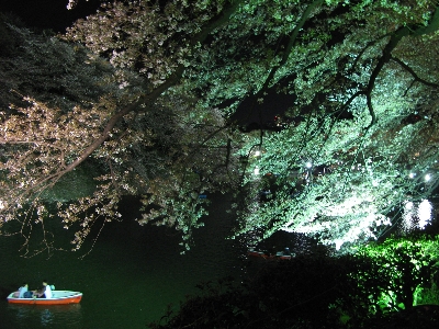 d0053578_0382437.jpg