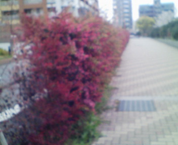 f0153479_15222848.jpg