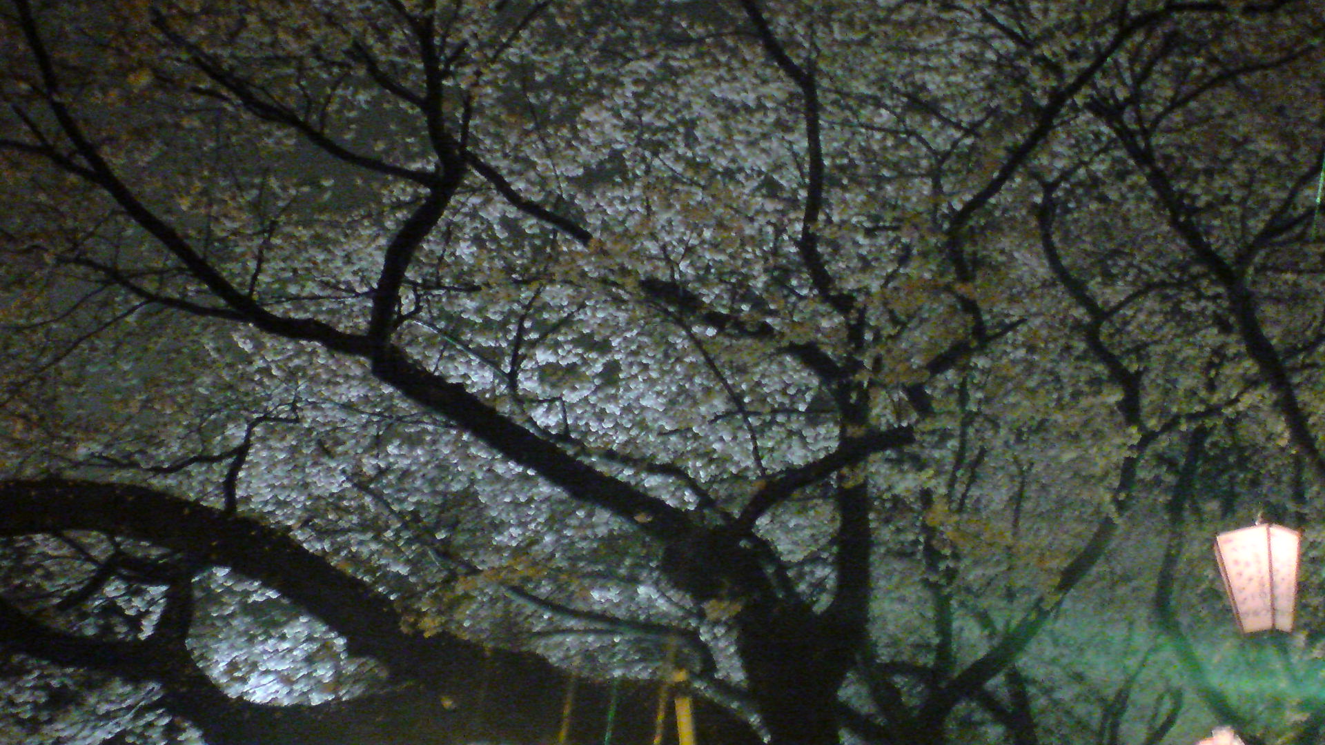 e0115881_10153490.jpg