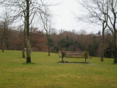 d0129786_17231810.jpg