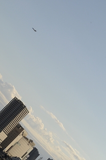 e0135287_17293062.jpg