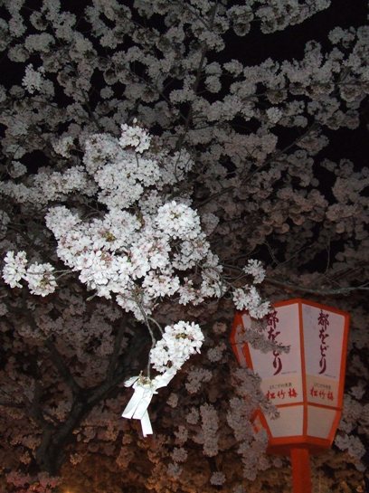 e0030488_13203410.jpg
