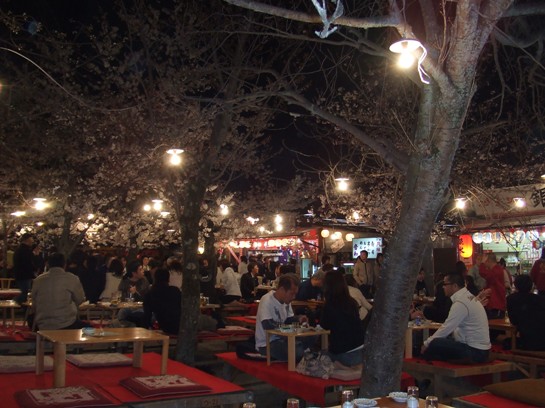 e0030488_1321090.jpg