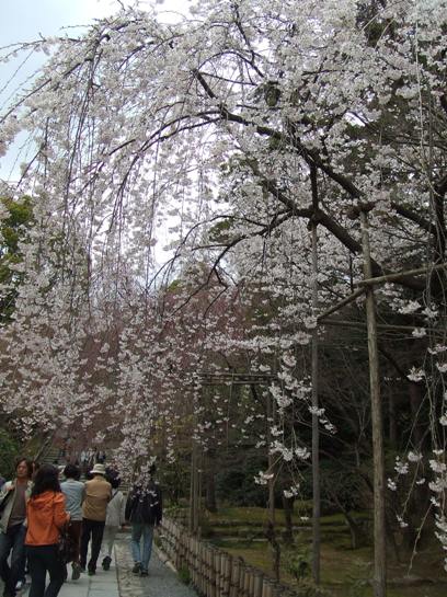 e0030488_139756.jpg
