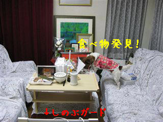 e0121589_142029.jpg