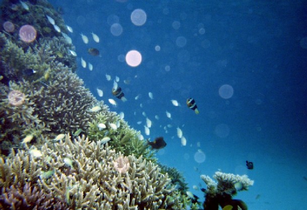 e0142189_1728388.jpg