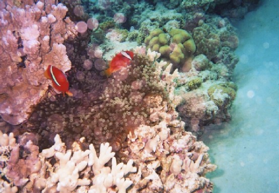 e0142189_1730131.jpg