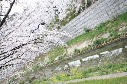 f0103797_13582594.jpg