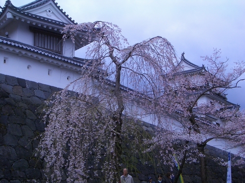 d0069498_16413791.jpg