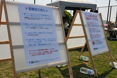 f0123098_1014915.jpg