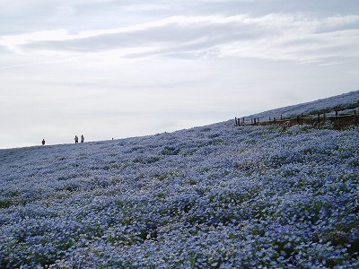 f0147602_13203699.jpg