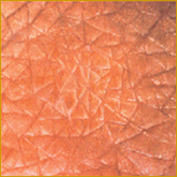 c0139007_0391597.gif