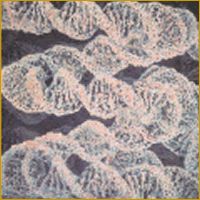 c0139007_0392569.gif