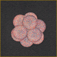 c0139007_0394086.gif