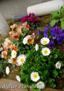 d0001008_1625820.jpg
