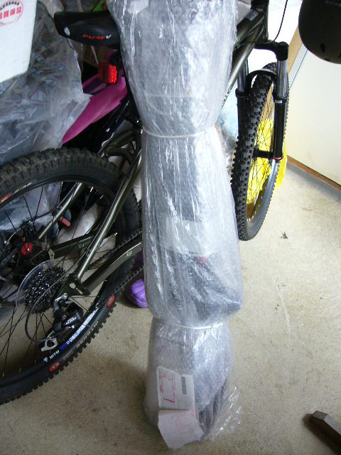 e0015108_345186.jpg