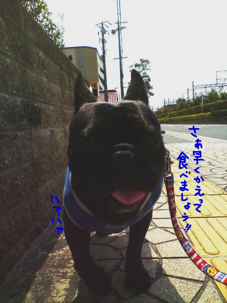 c0113109_14164832.jpg