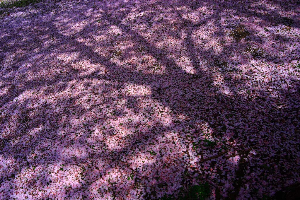d0085715_092274.jpg