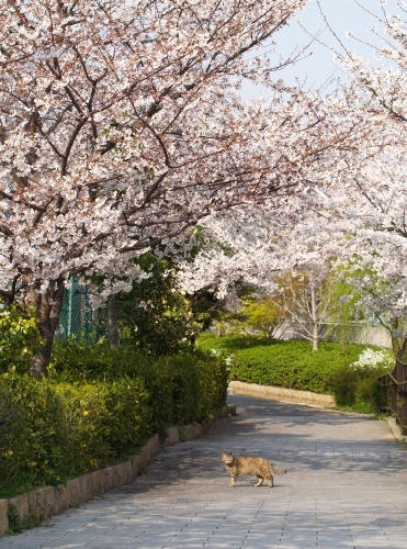 c0136217_3204928.jpg