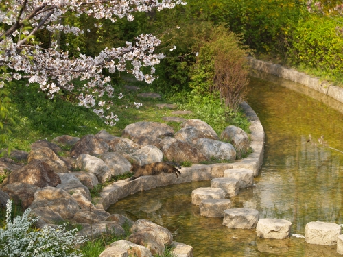 c0136217_320595.jpg