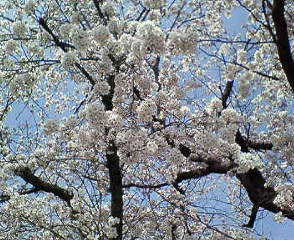 b0094025_14481592.jpg