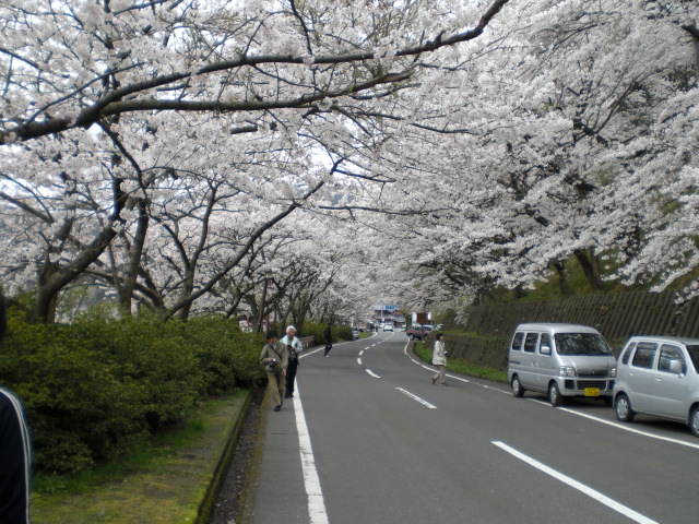 f0111128_1143358.jpg