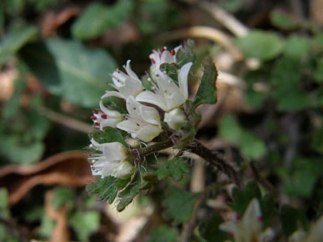 e0145033_20445827.jpg