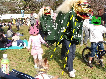f0002833_2259158.jpg