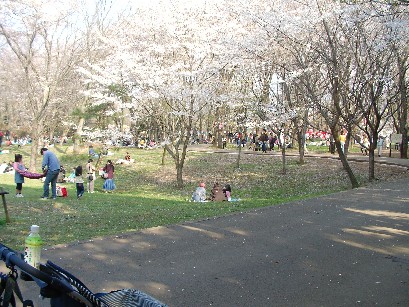 f0002833_22594070.jpg
