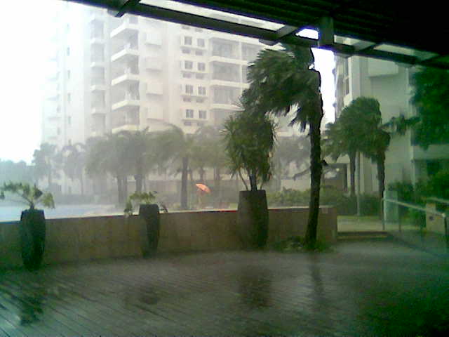 c0119242_21402731.jpg