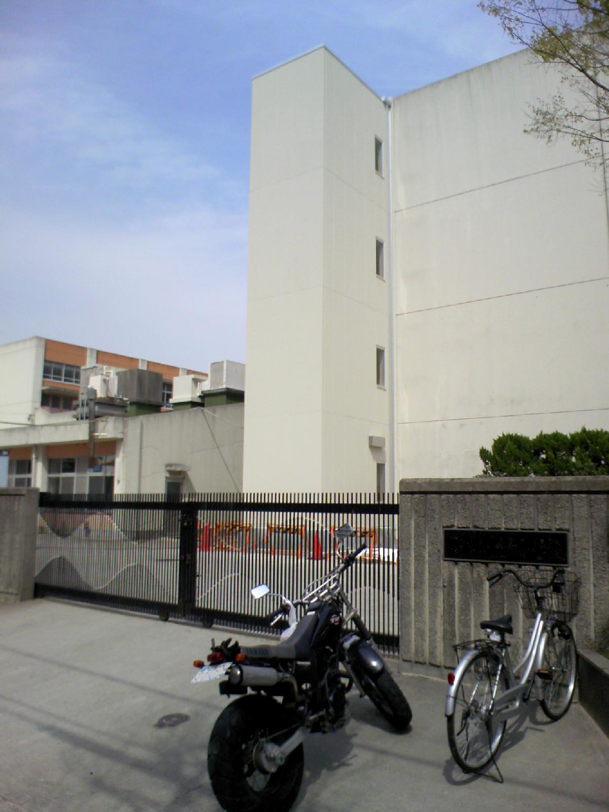 d0111042_1755787.jpg