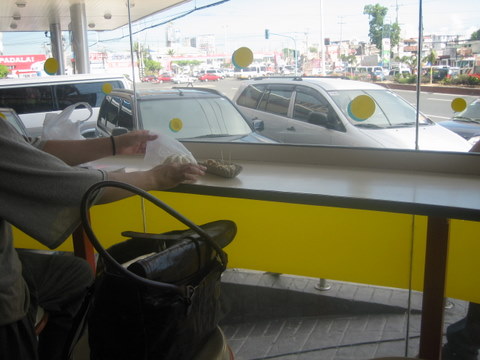 e0018143_16375861.jpg
