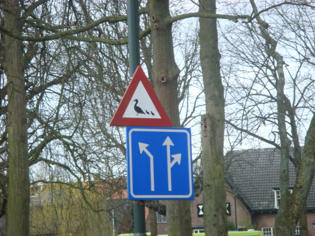 d0140345_433112.jpg