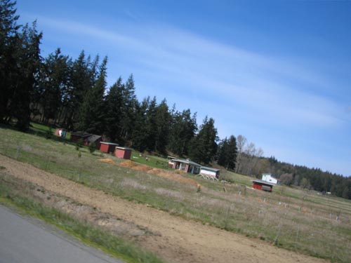 e0016845_14353936.jpg