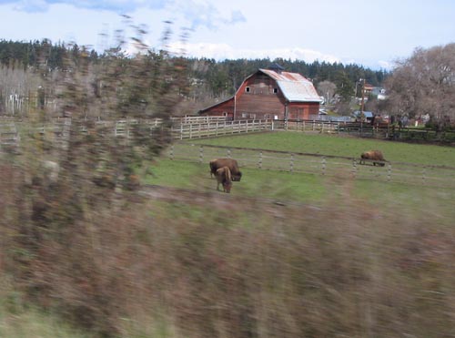 e0016845_14404642.jpg